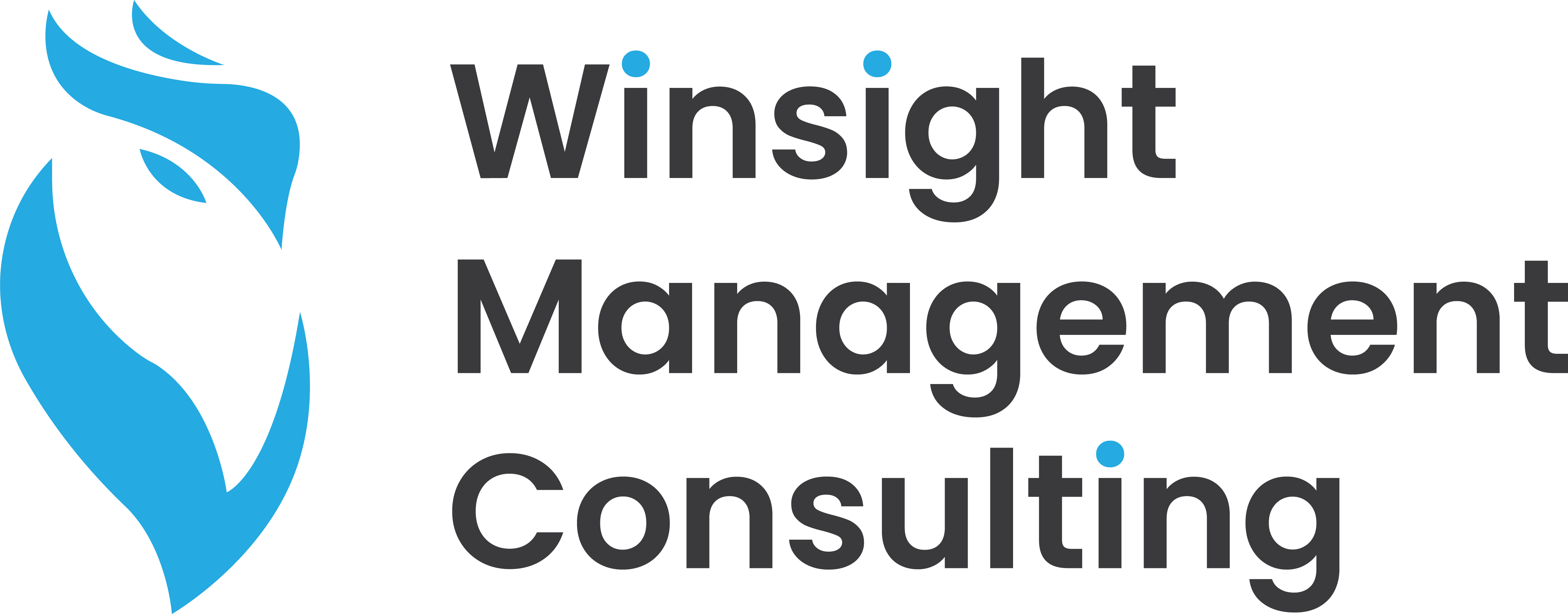 Winsight Management Consulting Inc.